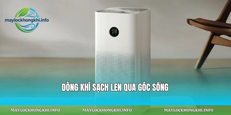 Dòng khí sạch len qua góc sống