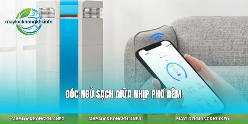 Góc ngủ sạch giữa nhịp phố đêm