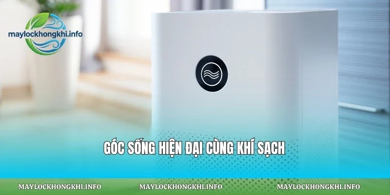 Góc sống hiện đại cùng khí sạch