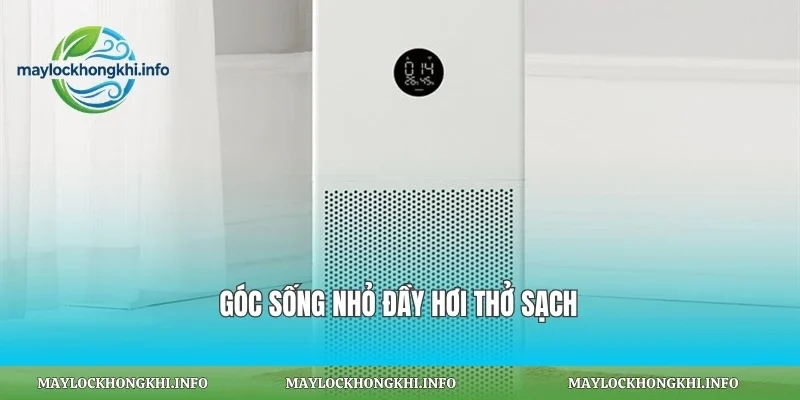 Góc sống nhỏ đầy hơi thở sạch
