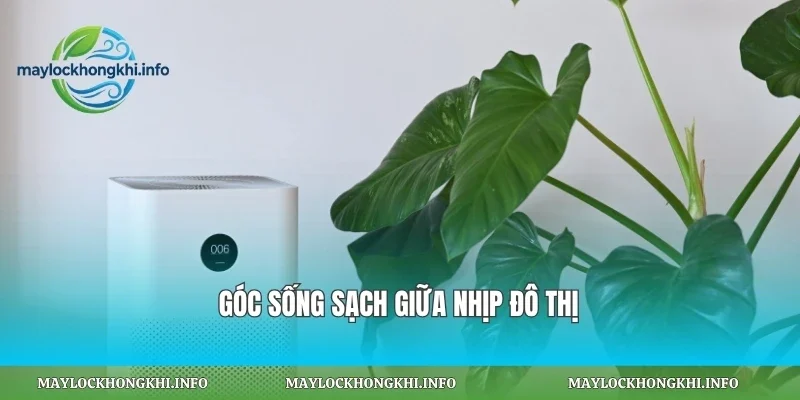 Góc sống sạch giữa nhịp đô thị