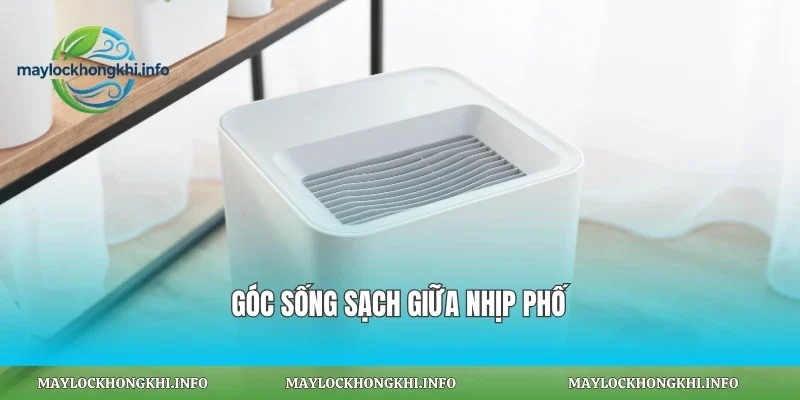 Góc sống sạch giữa nhịp phố