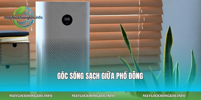 Góc sống sạch giữa phố đông