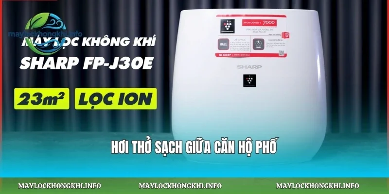 Hơi thở sạch giữa căn hộ phố