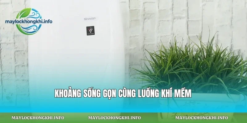 Khoảng sống gọn cùng luồng khí mềm