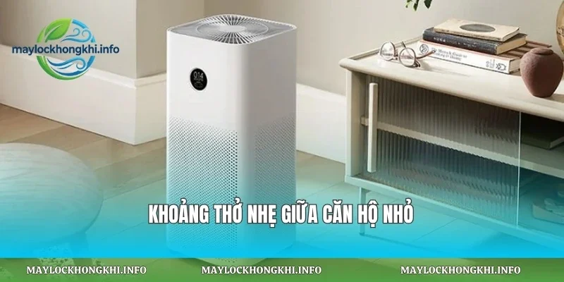 Khoảng thở nhẹ giữa căn hộ nhỏ