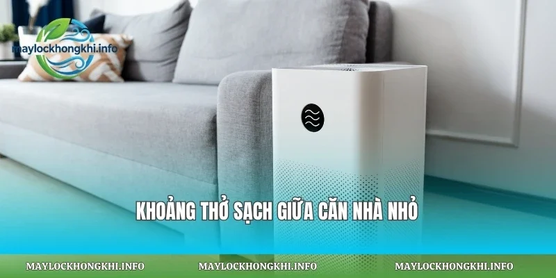 Khoảng thở sạch giữa căn nhà nhỏ