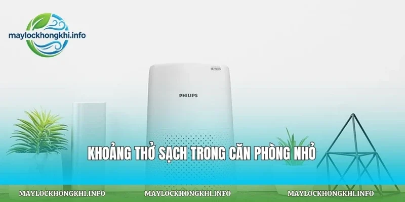 Khoảng thở sạch trong căn phòng nhỏ