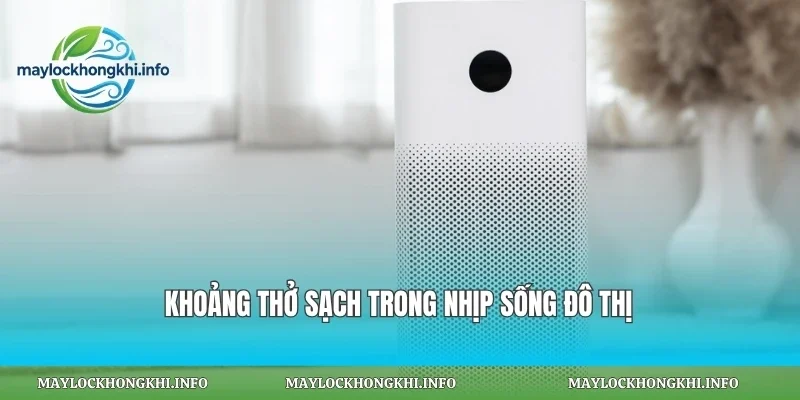 Khoảng thở sạch trong nhịp sống đô thị