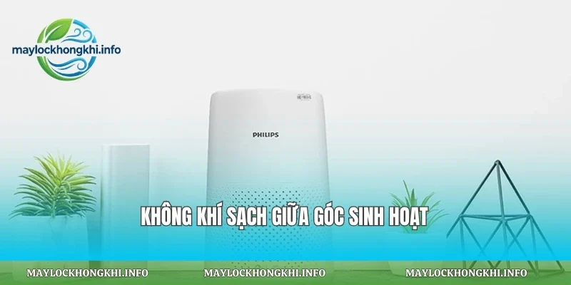 Không khí sạch giữa góc sinh hoạt