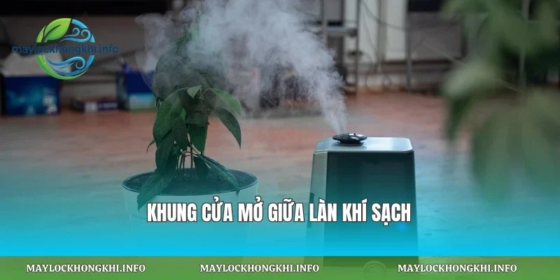 Khung cửa mở giữa làn khí sạch