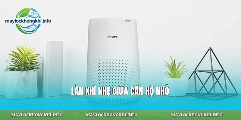 Làn khí nhẹ giữa căn hộ nhỏ
