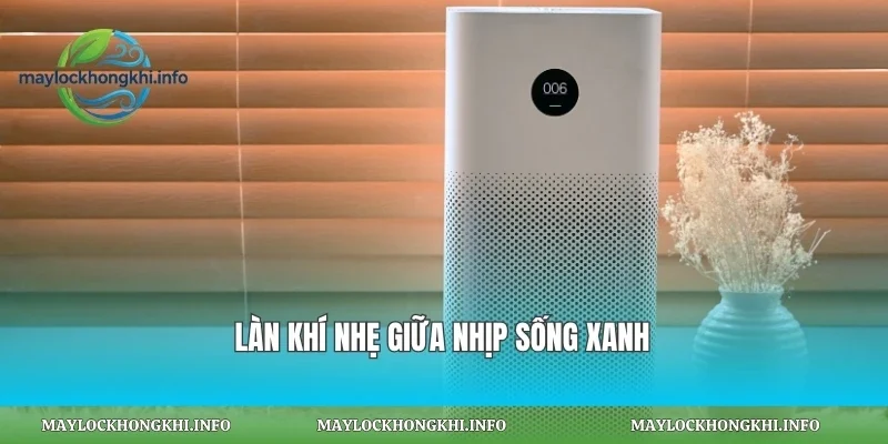 Làn khí nhẹ giữa nhịp sống xanh