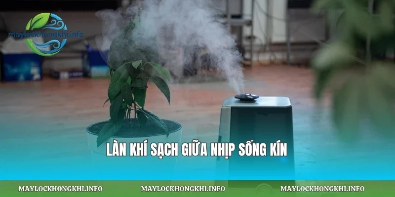 Làn khí sạch giữa nhịp sống kín