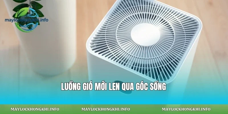 Luồng gió mới len qua góc sống