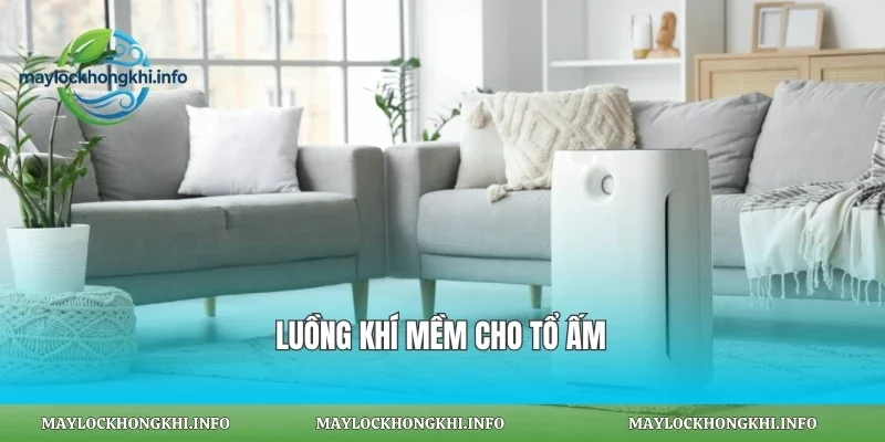 Luồng khí mềm cho tổ ấm
