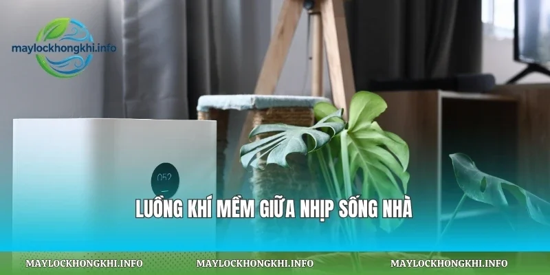 Luồng khí mềm giữa nhịp sống nhà