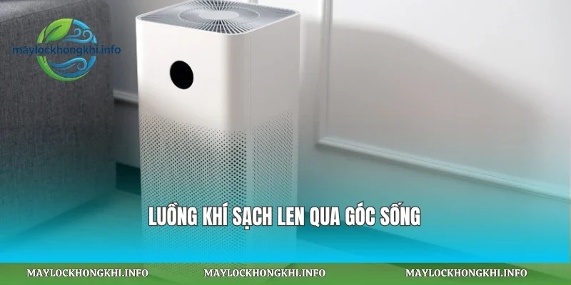 Luồng khí sạch len qua góc sống