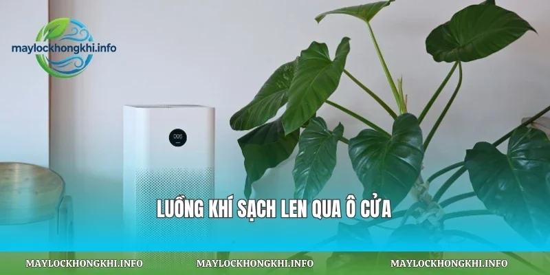 Luồng khí sạch len qua ô cửa