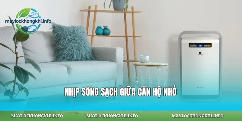 Nhịp sống sạch giữa căn hộ nhỏ