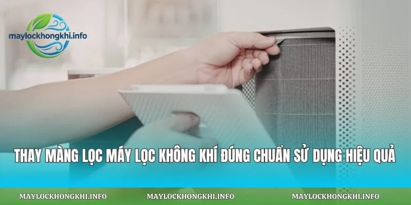 Thay Màng Lọc Máy Lọc Không Khí Đúng Chuẩn Sử Dụng Hiệu Quả