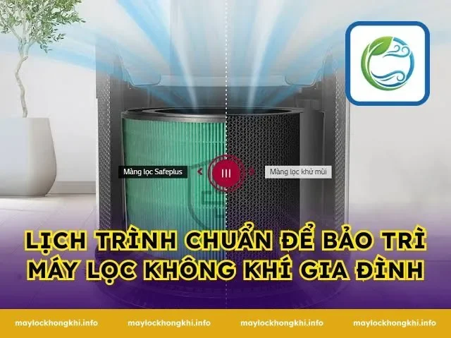 Lịch Trình Chuẩn Để Bảo Trì Máy Lọc Không Khí Gia Đình