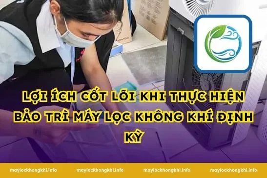 Lợi Ích Cốt Lõi Khi Thực Hiện Bảo Trì Máy Lọc Không Khí Định Kỳ